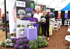 The team of Schoneveld presenting their campanulas. On the left the portenschlagiana type Ambella and on the right the Carpatica type. They are starting up cutting production at Ball Darwin in Colombia, which enables Schoneveld's customers to buy the product with the regular shipments.